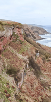 Cliffs on Berwickshire coastal path