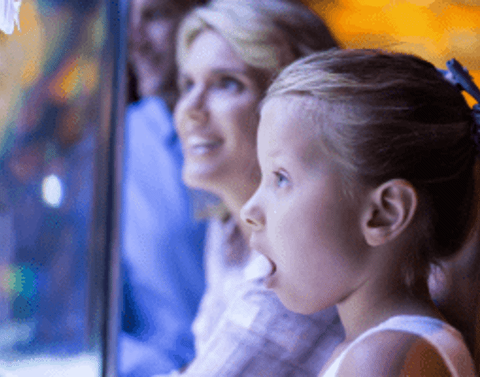 Children at Ilfracombe aquarium