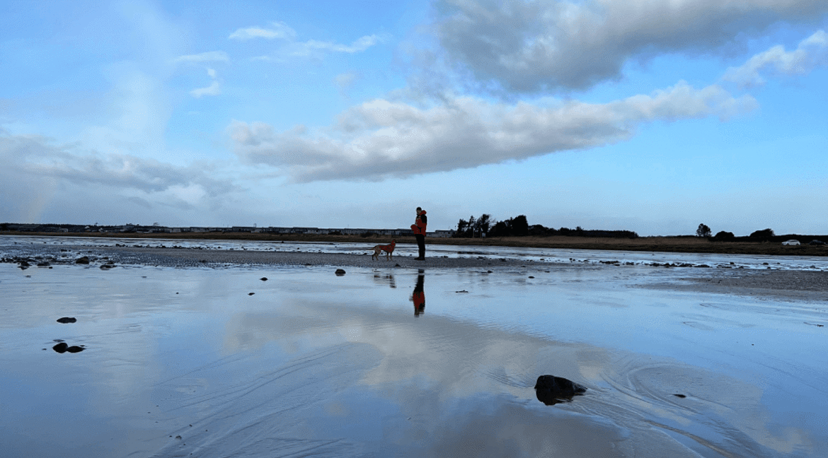 Dog and man on beach with blue sky