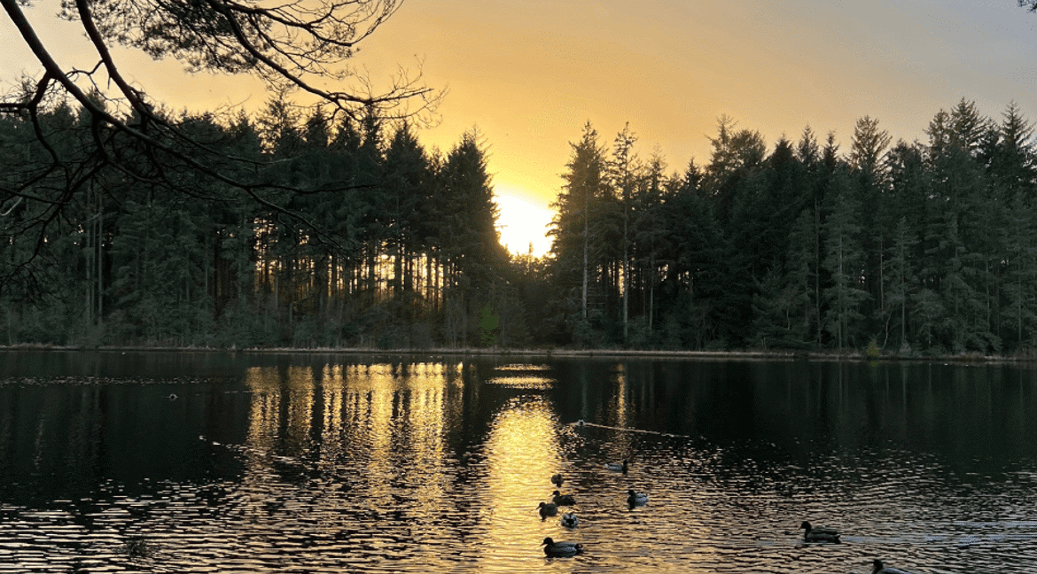 Loch sunset