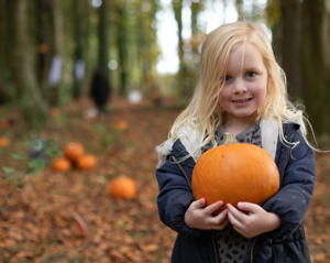 Pumpkin Patch