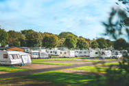 Touring vans and motorhomes in a grassy field with trees 