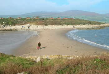 Mossyard Beach