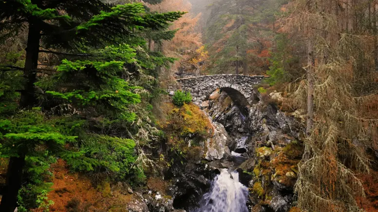 Falls Of Bruar