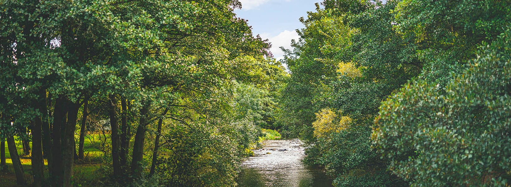 Riverside Leisure park river