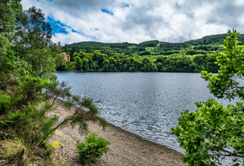 Faskally Woods lake