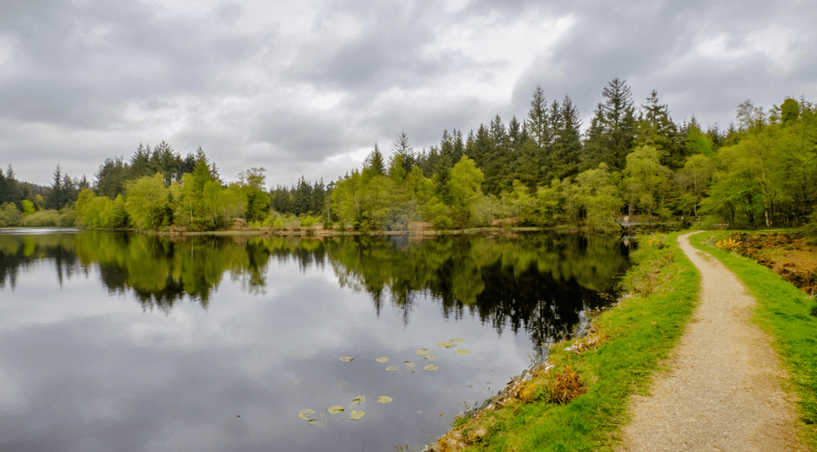 Galloway Forest Park